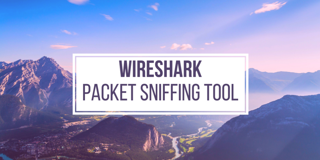 wireshark packet sniffer kali linux
