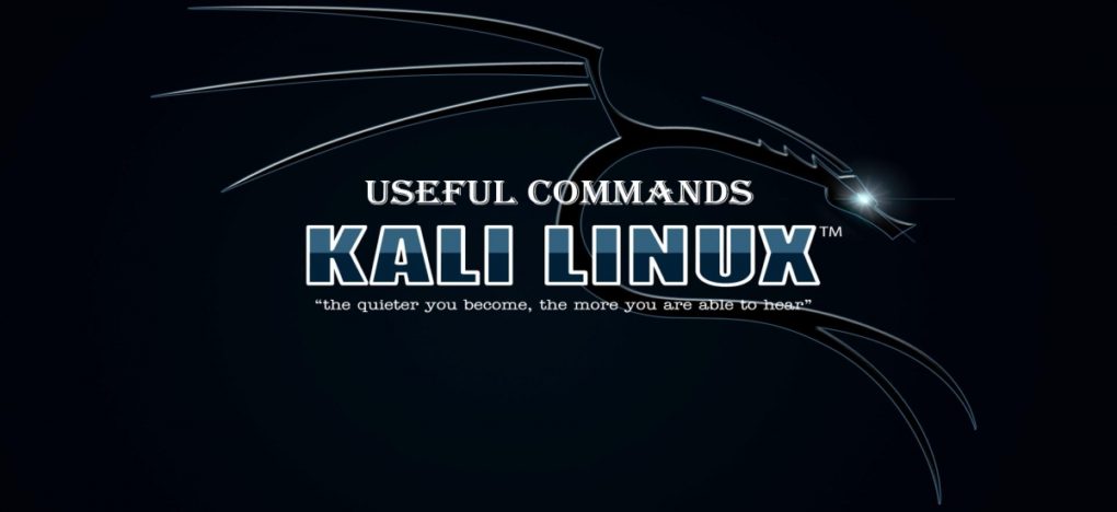 Top 20 Basic Kali Linux Commands - Yeah Hub