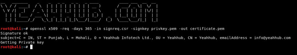 openssl verify certificate and key